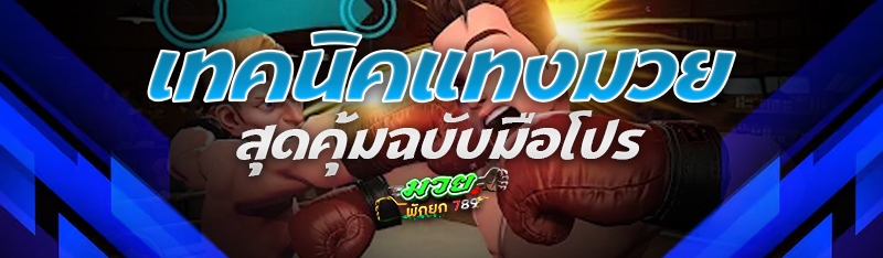 เทคนิคแทงมวย สุดคุ้มฉบับมือโปร