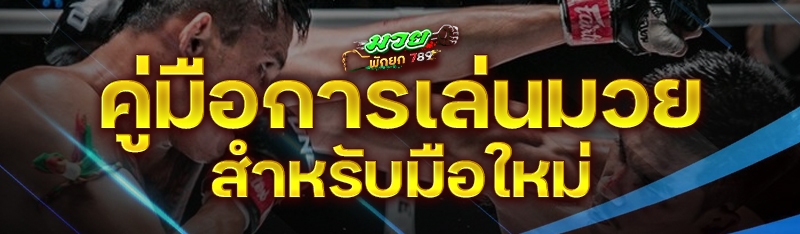 คู่มือการเล่นมวย สำหรับมือใหม่
