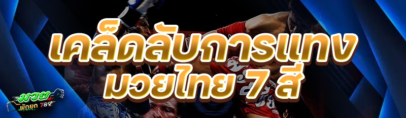 เคล็ดลับการแทง มวยไทย 7 สี