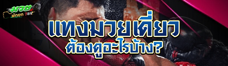 แทงมวยเดี่ยว ต้องดูอะไรบ้าง?