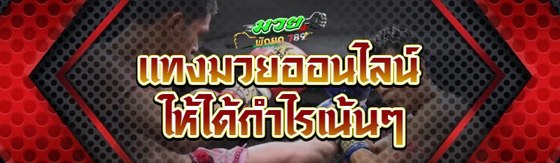 แทงมวยออนไลน์ ให้ได้กำไรเน้นๆ