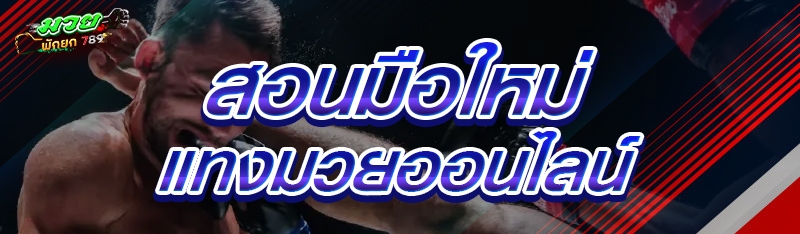 สอนมือใหม่ แทงมวยออนไลน์