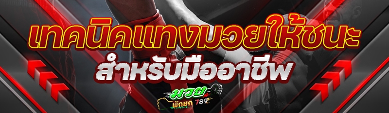 เทคนิคแทงมวยให้ชนะ สำหรับมืออาชีพ