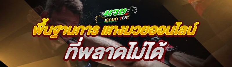 พื้นฐานการ แทงมวยออนไลน์ ที่พลาดไม่ได้