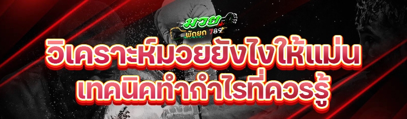 วิเคราะห์มวยยังไงให้แม่น เทคนิคทำกำไรที่ควรรู้