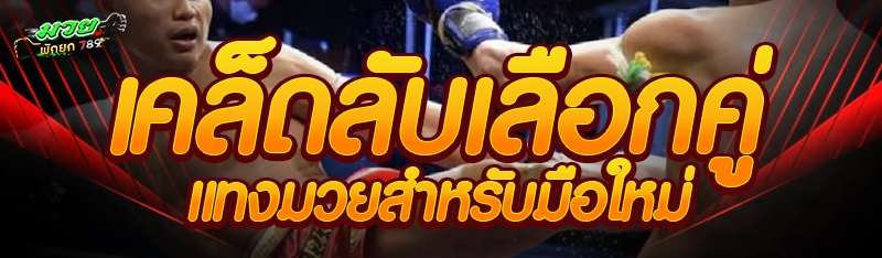 เคล็ดลับเลือกคู่แทงมวยสำหรับมือใหม่
