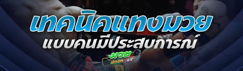 เทคนิคแทงมวย แบบคนมีประสบการณ์