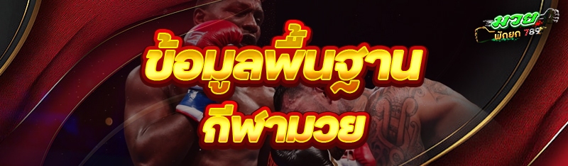ข้อมูลพื้นฐาน กีฬามวย