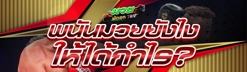 พนันมวยยังไง ให้ได้กำไร?