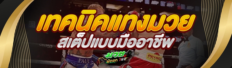 เทคนิคแทงมวยสเต็ปแบบมืออาชีพ