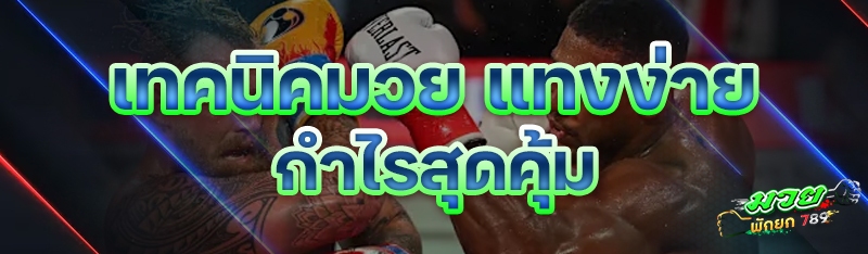 เทคนิคมวย แทงง่ายกำไรสุดคุ้ม