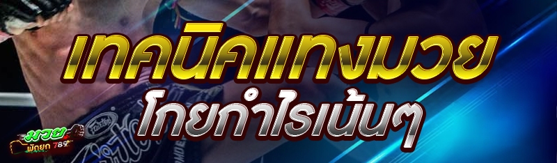 เทคนิคแทงมวย โกยกำไรเน้นๆ