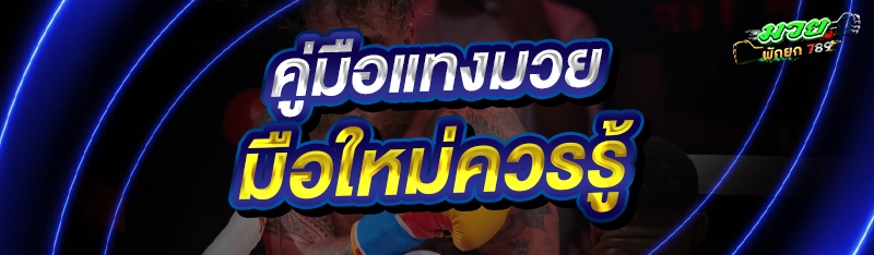 คู่มือแทงมวย มือใหม่ควรรู้