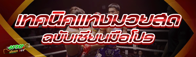 เทคนิคแทงมวยสด ฉบับเซียนมือโปร
