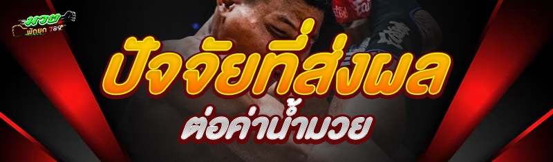 ปัจจัยที่ส่งผลต่อค่าน้ำมวย