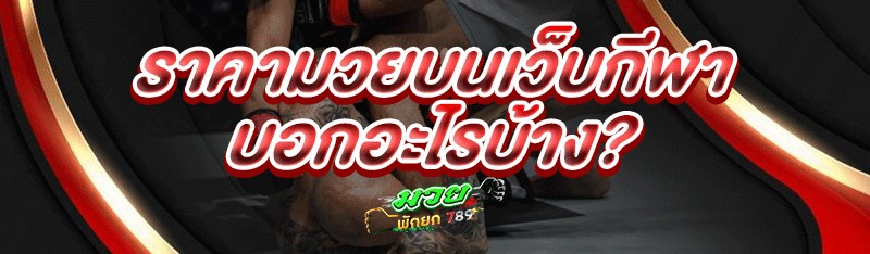 ราคามวยบนเว็บกีฬา บอกอะไรบ้าง?
