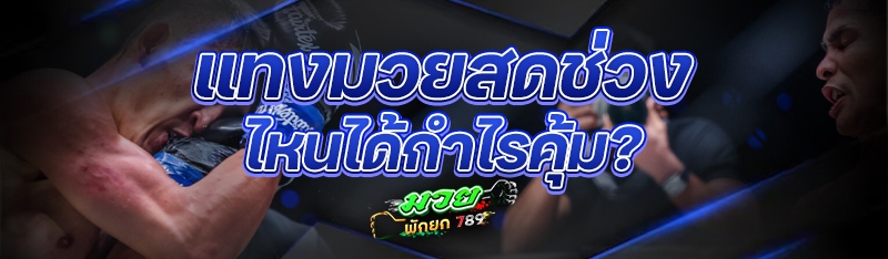 แทงมวยสดช่วงไหนได้กำไรคุ้ม?