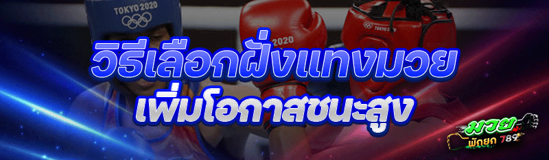 วิธีเลือกฝั่งแทงมวย เพิ่มโอกาสชนะสูง