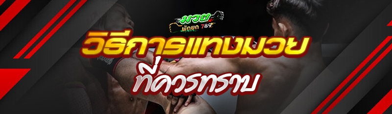 วิธีการแทงมวย ที่ควรทราบ