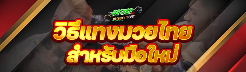 วิธีแทงมวยไทย สำหรับมือใหม่