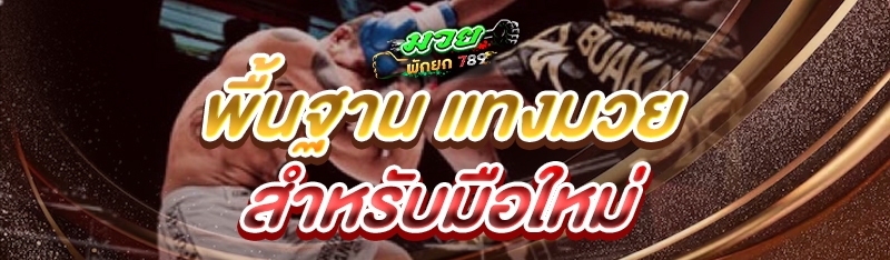 พื้นฐาน แทงมวย สำหรับมือใหม่