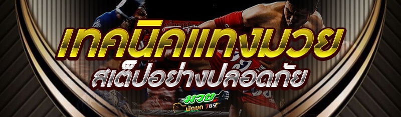 เทคนิคแทงมวยสเต็ปอย่างปลอดภัย