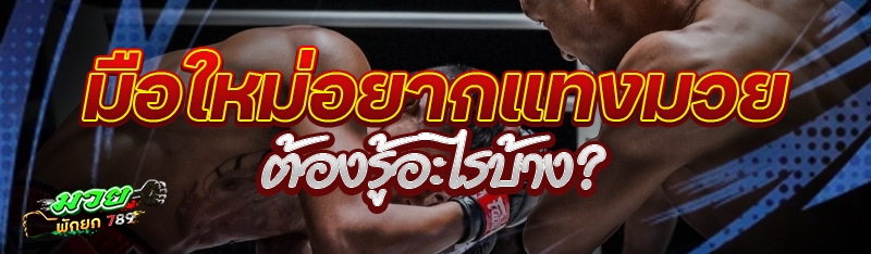 มือใหม่อยากแทงมวย ต้องรู้อะไรบ้าง?