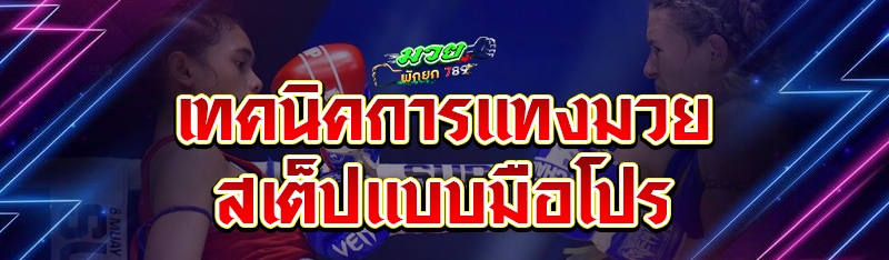 เทคนิคการแทงมวยสเต็ปแบบมือโปร