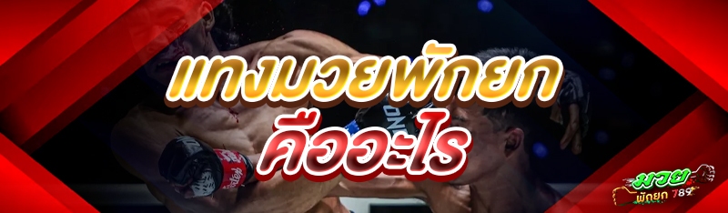 แทงมวยพักยก คืออะไร