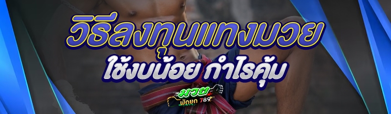 วิธีลงทุนแทงมวย ใช้งบน้อย กำไรคุ้ม