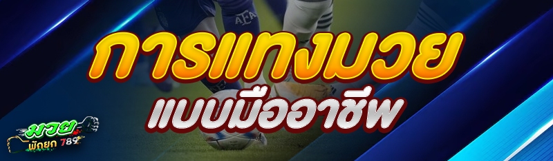การแทงมวยแบบมืออาชีพ