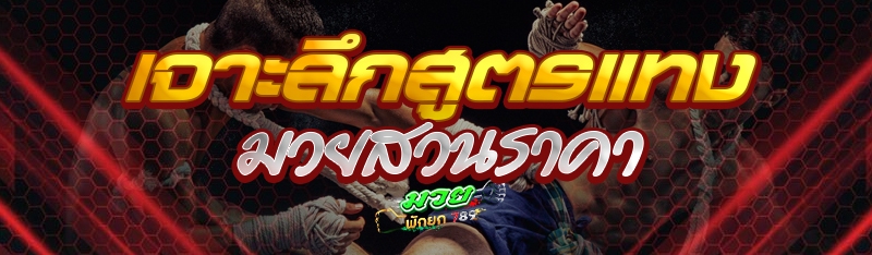 เจาะลึกสูตรแทงมวยสวนราคา 