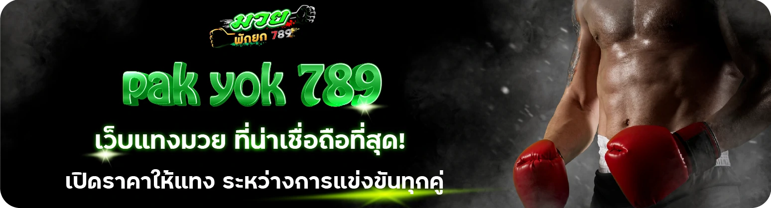 บริการเสริมจากทีมงาน